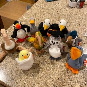 Lot of 9 TY beanie baby birds
